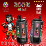 BB20200K01