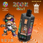 BB20200K05